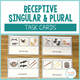 Receptive Singular and Plural Task Cards cover with noun examples