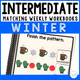 Intermediate Matching Weekly Workbooks Winter cover, a winter-themed matching and sorting workbook for special education