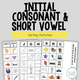 Initial Consonant and Short Vowel Sorting Activities cover