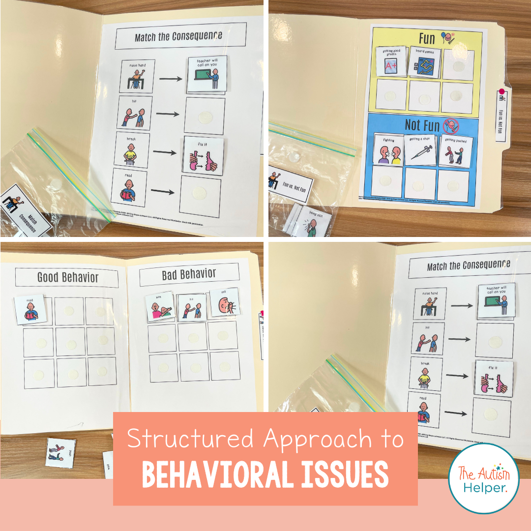 Behavior File Folder Activities