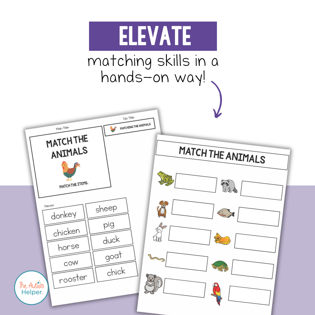Anchor Chart Matching File Folder Activities