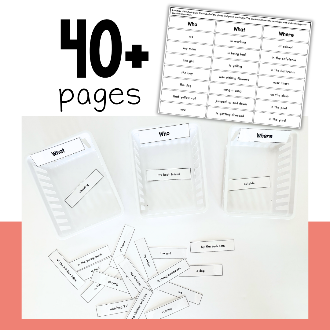 4 Sentence Building Literacy Centers for Special Education