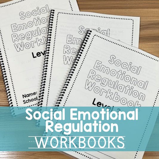 Social Regulation Workbooks