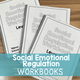 Social Emotional Regulation Workbooks: three bound workbook covers showing the differentiated levels