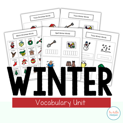 Winter Themed Vocabulary Unit