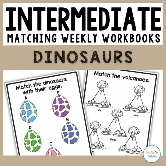 Intermediate Matching Weekly Workbooks - Dinosaurs