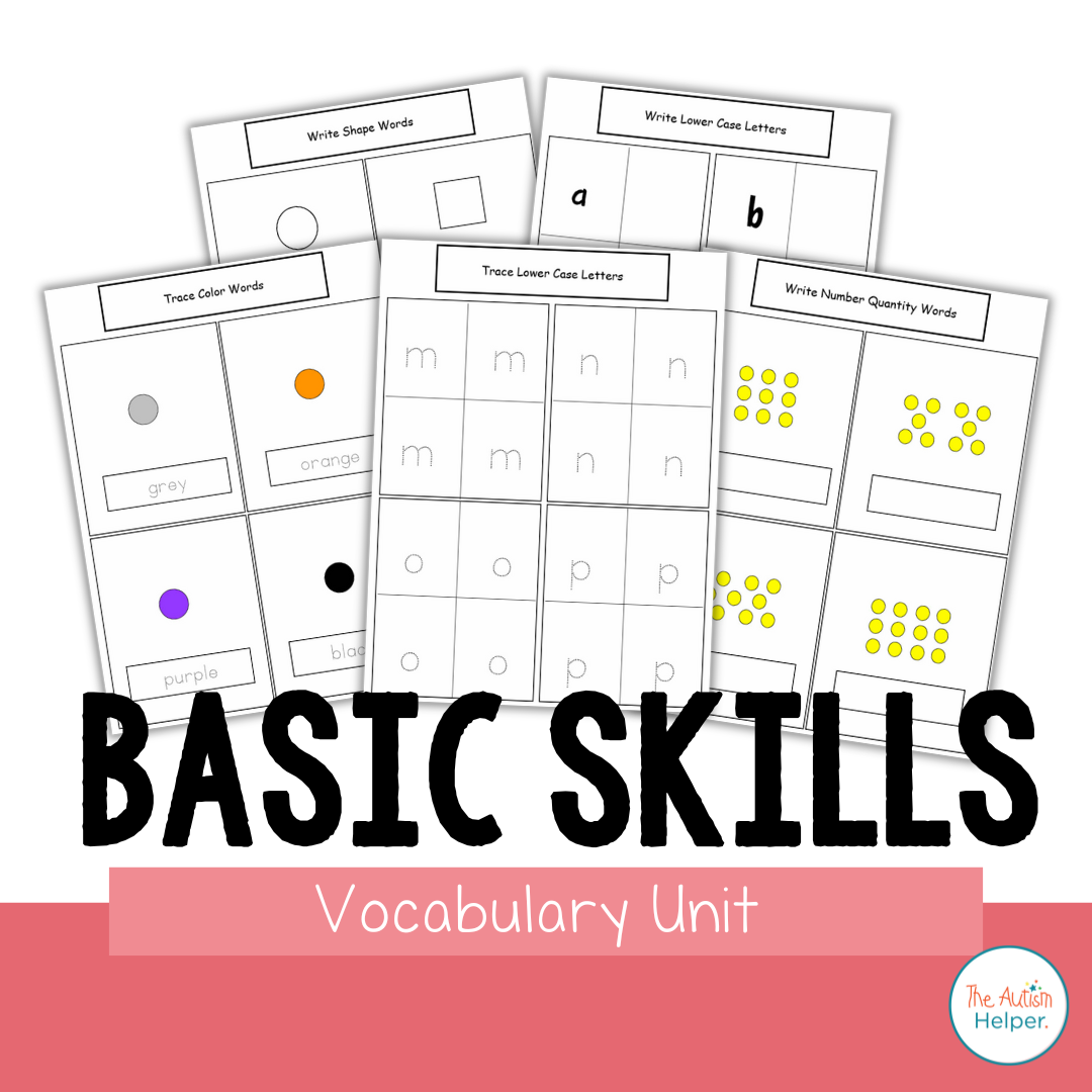 Basic Skills Vocabulary Unit