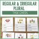 Regular and Irregular Plural Task Cards cover with pictured nouns