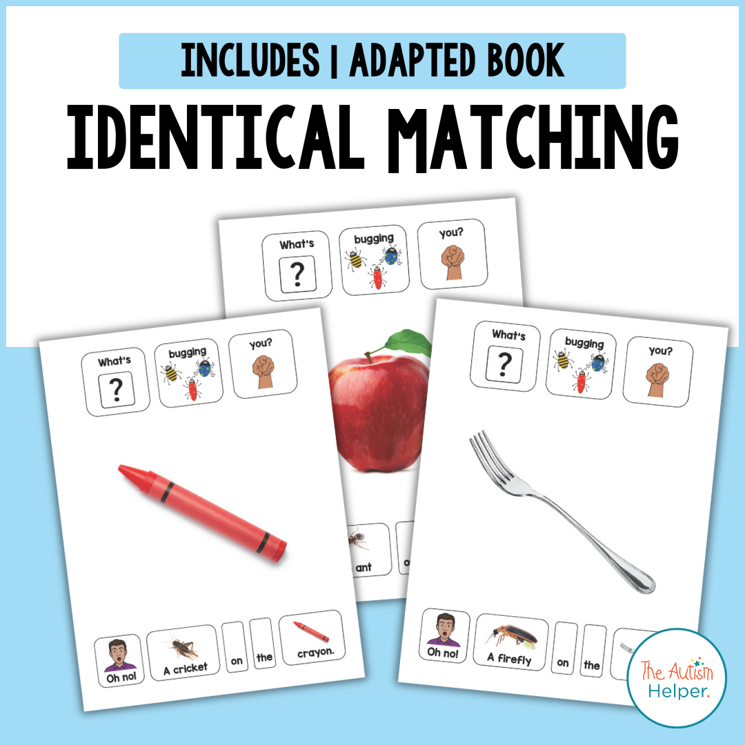 What's Bugging You? Identical Matching Adapted Book