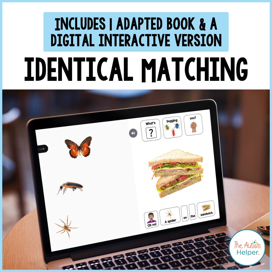 What's Bugging You? Identical Matching Adapted Book