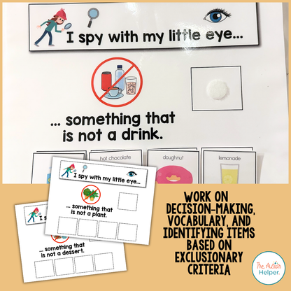 I Spy - Non-Examples & Negation Adapted Book