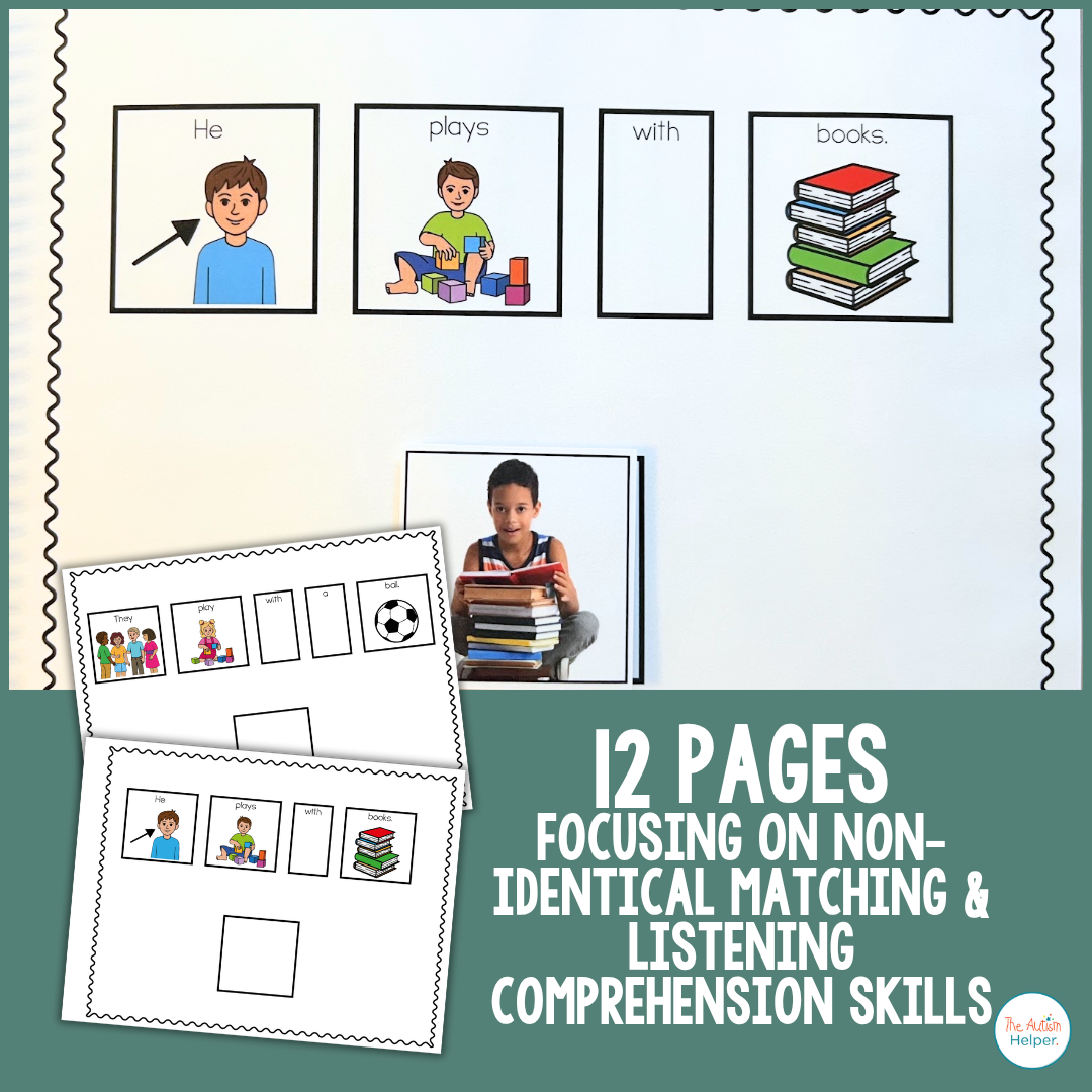 Play Themed Matching Adapted Book