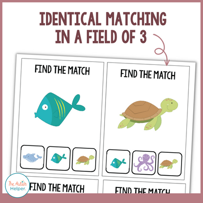 Identical Matching Task Cards – The Autism Helper