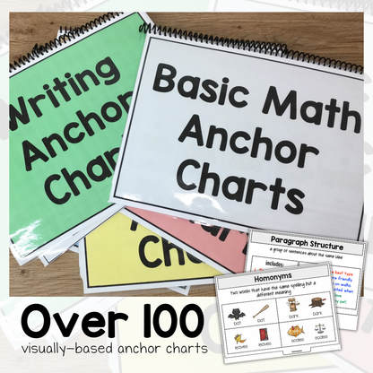 Special Education Anchor Chart Mega Pack