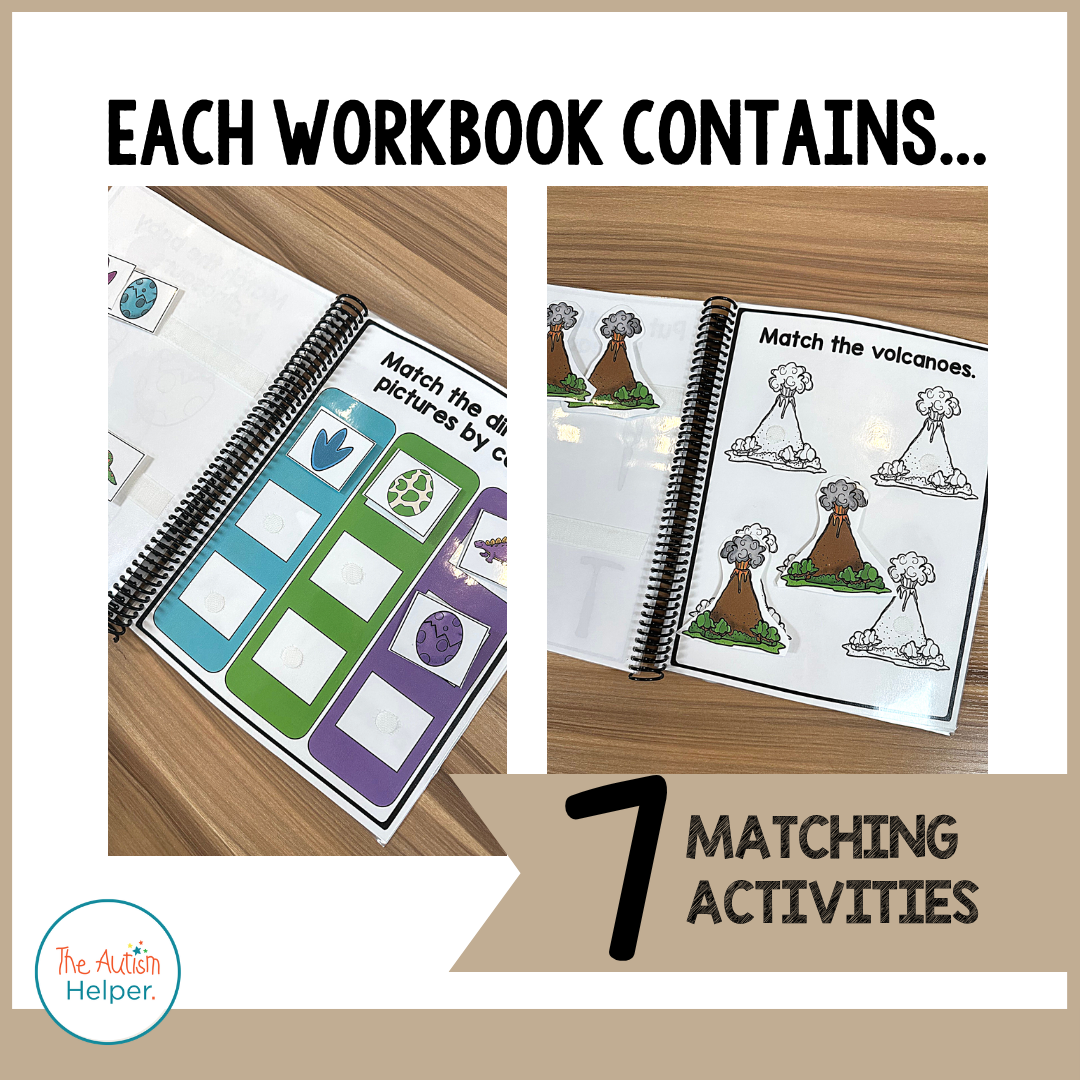 Easy Matching Weekly Workbooks - Dinosaurs