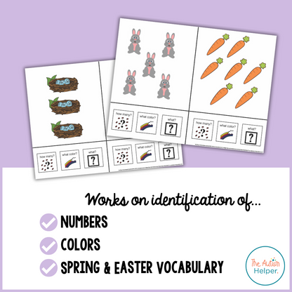 Count, Color, & Name Wh-Question Adapted Book - SPRING & EASTER