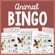 Animal Bingo: cover with animal picture boards, calling cards, and colorful counters for group play