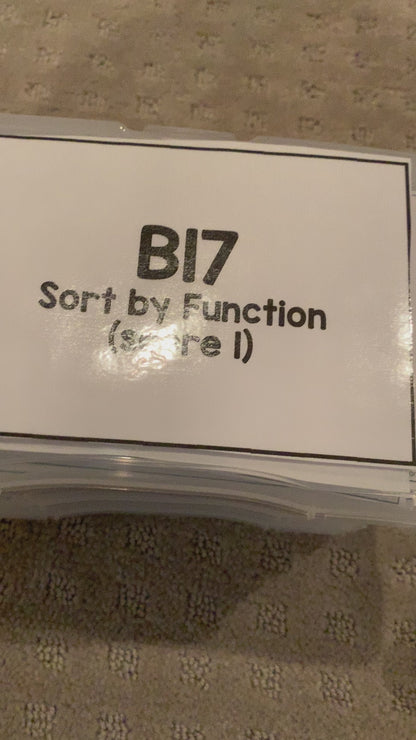 Function Task Cards [ABLLS-R Aligned B17, C37, G15, G24]