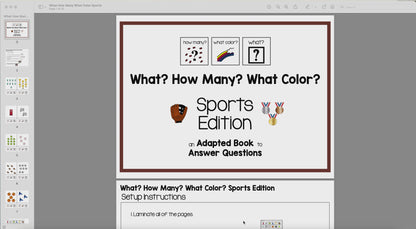 How Many? What Color? What? Adapted Book {Sports}