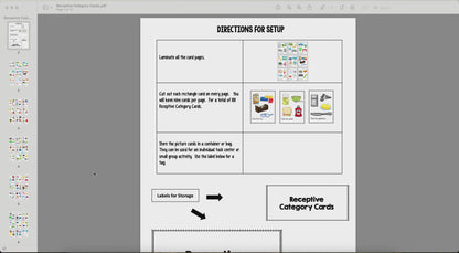 Receptive Category Task Cards