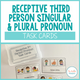 Receptive Third Person Pronoun Task Cards cover with singular and plural examples