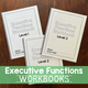 Executive Functions Workbooks: three bound workbook covers labeled Levels 1, 2, and 3 on a wooden table