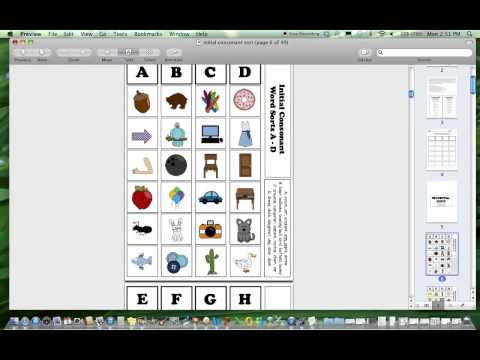 Initial Consonant and Short Vowel Sorting Activities – The Autism Helper