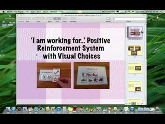 Positive Reinforcement Visual System – The Autism Helper