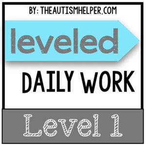 Leveled Daily Work {Level 1}