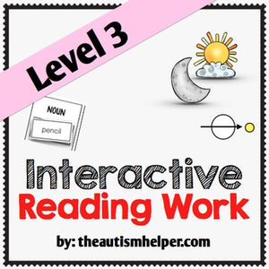 Interactive Literacy Work Book {Level 3}