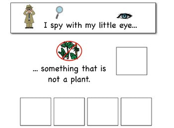I Spy - Non-Examples {an adapted book for children with autism}