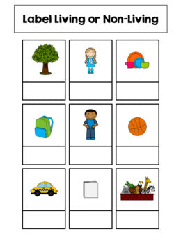 Level 1 Science Leveled Daily Curriculum FILE FOLDER ACTIVITIES