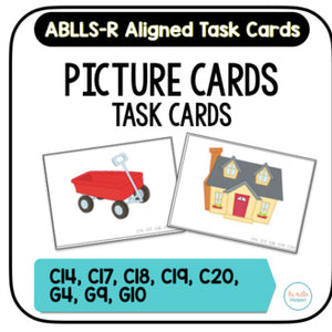 Picture & Photo Cards [ABLLS-R Aligned C14, C17, C18, C19, C20, G4, G9, G10]