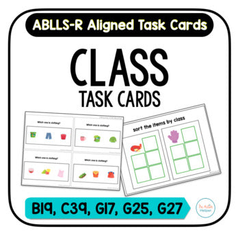 ABLLS-R Aligned B8 Sort Non Identical Items Task (Instant Download) 