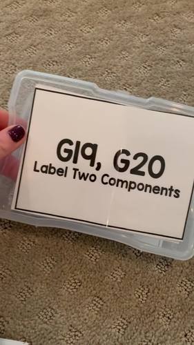 Select & Label Two Items Task Cards [ABLLS-R Aligned C40, C41, G19, G20]